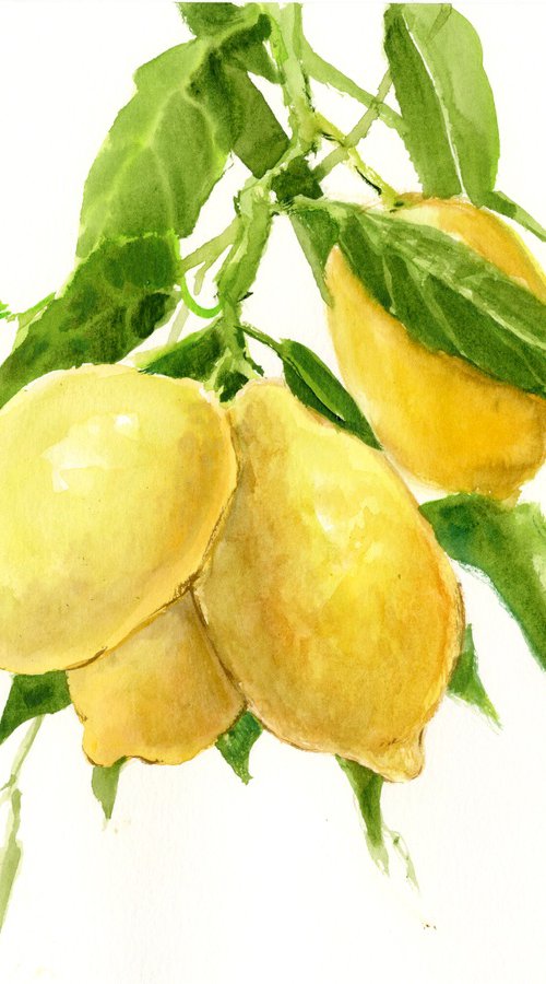 Lemons on the Tree by Suren Nersisyan