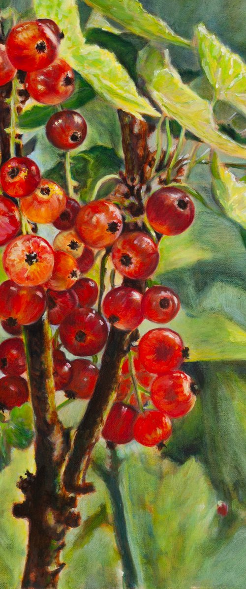 Redcurrants by Liudmila Pisliakova