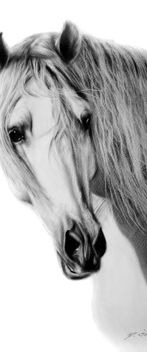 Horse by Danguole Serstinskaja