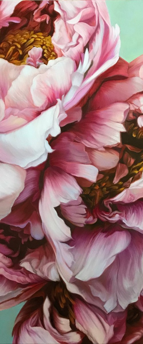 Pair of peonies by Elena