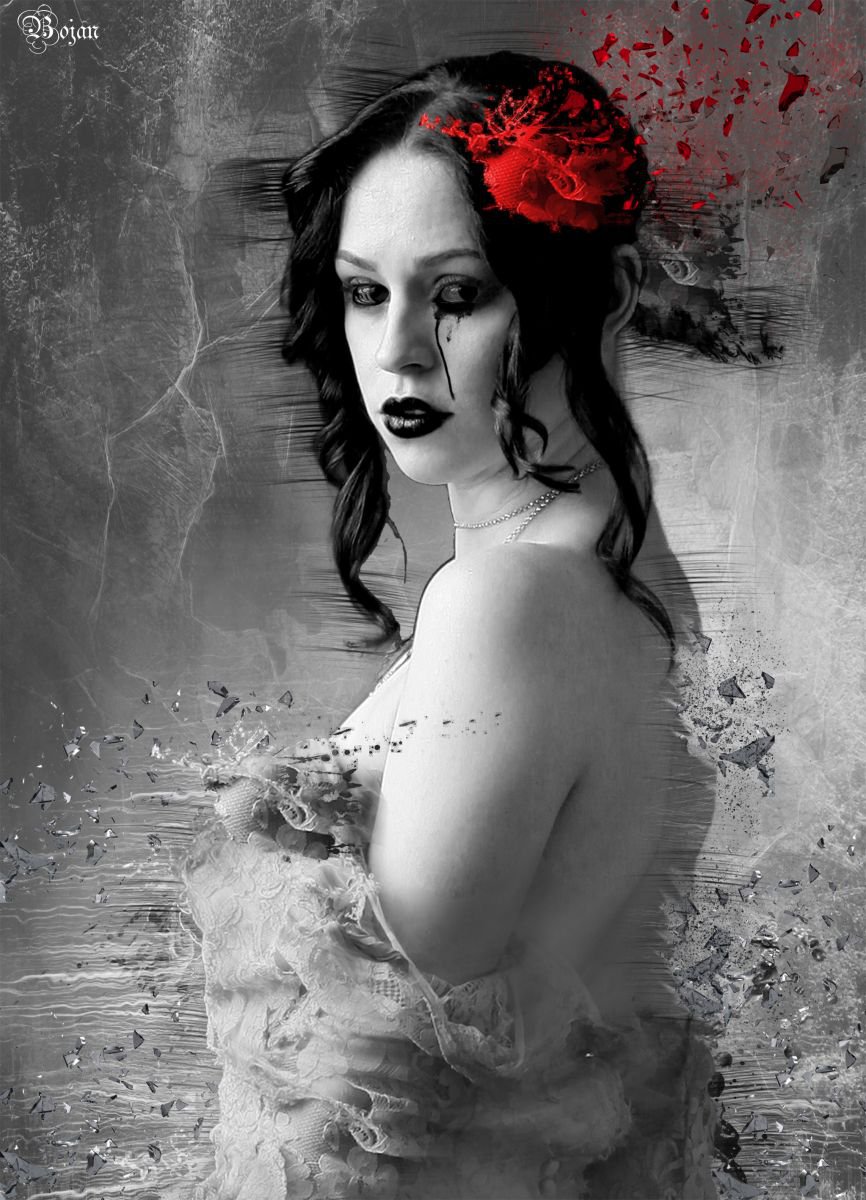 Graphic Portrait Photograph By Bojan Jevtic, 28 X 39, Roses Are Red, Original Artwork