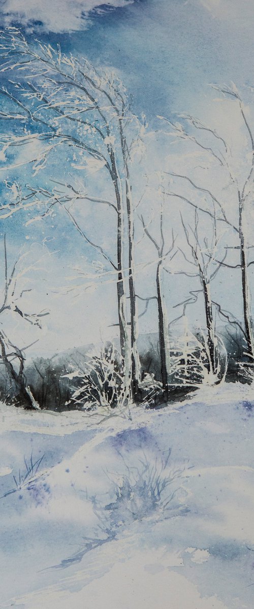 Winter by Aneta Gajos