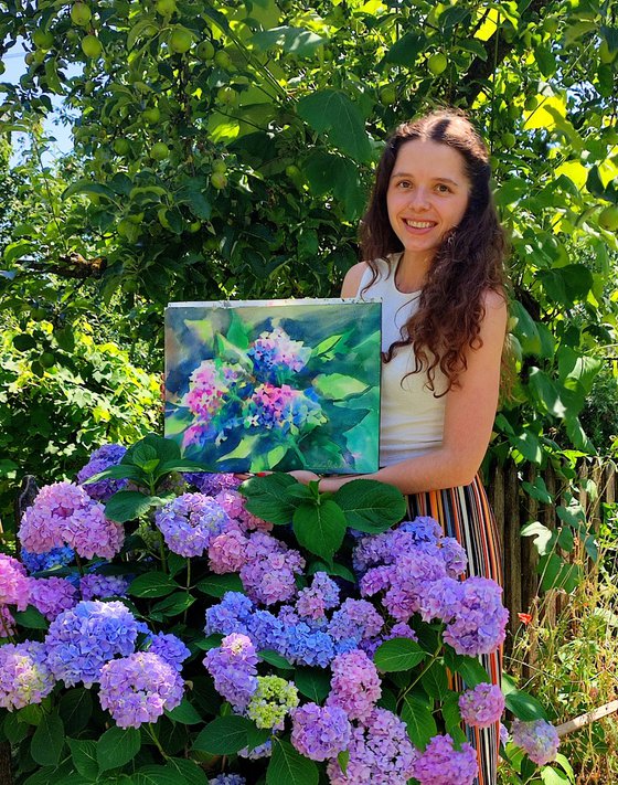 Hydrangea flowers