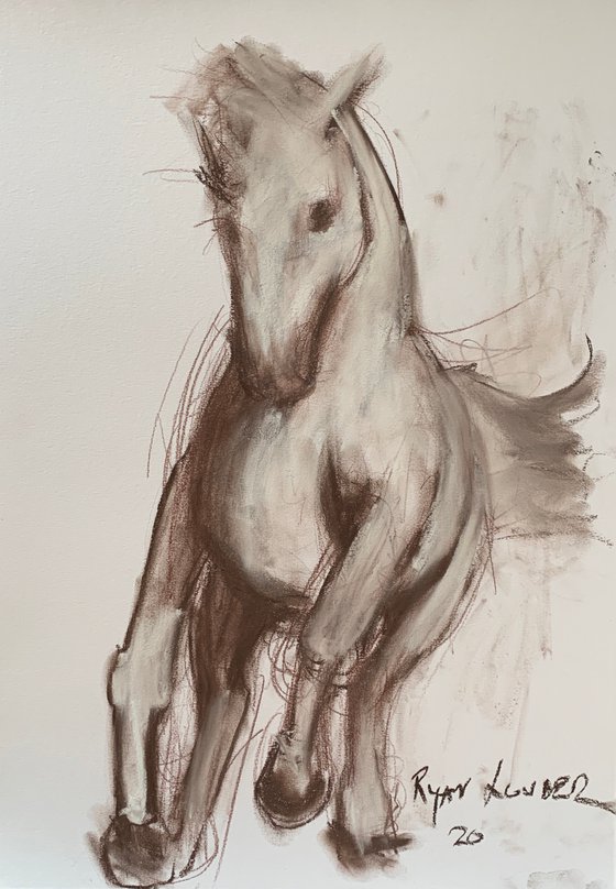 White Horse