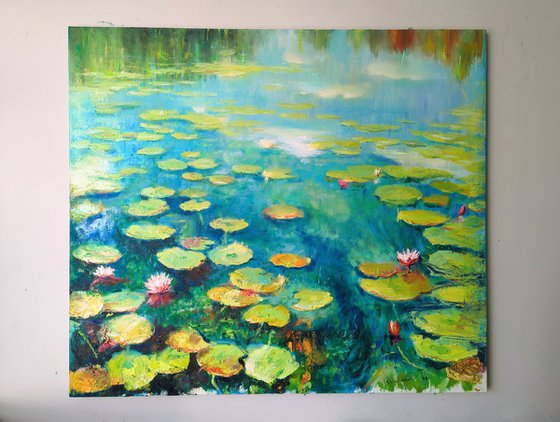 Water lilies on the river