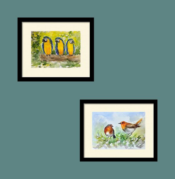 Set of two- Parakeets and Robins