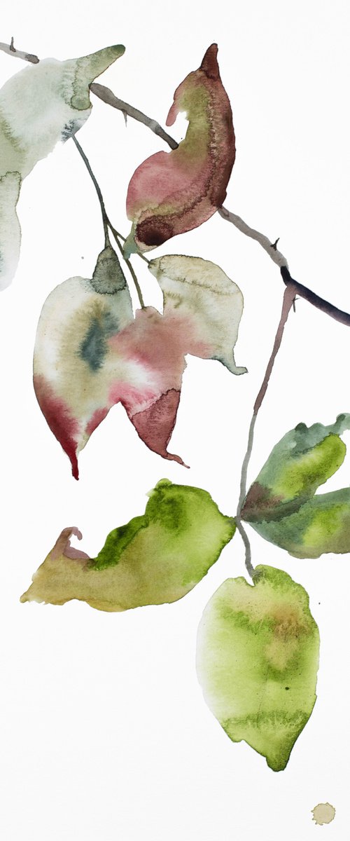 The Woods No. 136 by Elizabeth Becker