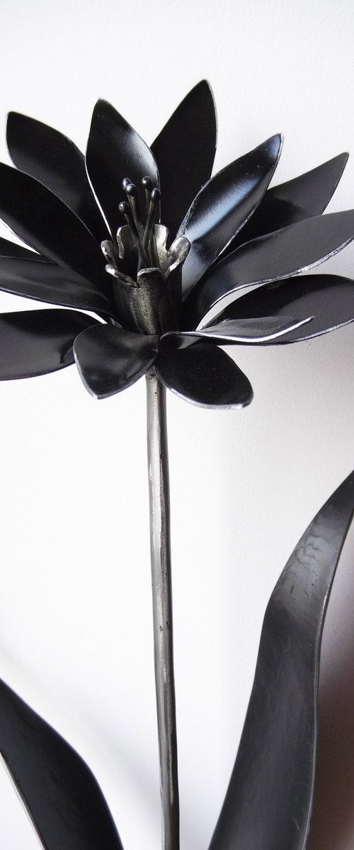 Black Flower by Nikolay Nedev