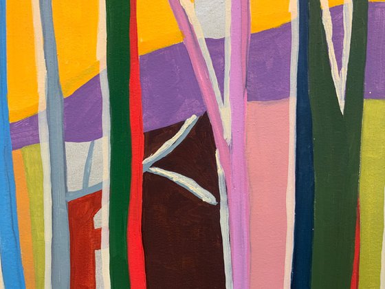 Mr. Cardinal In A Pre Dawn Glow