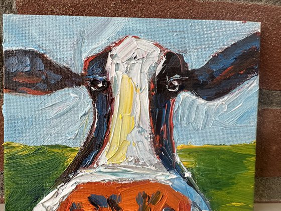 Funny cow portrait