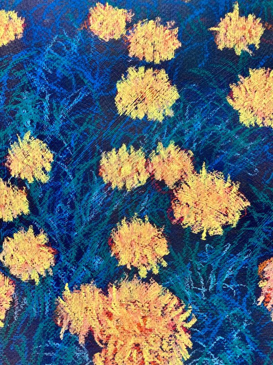 Marigolds