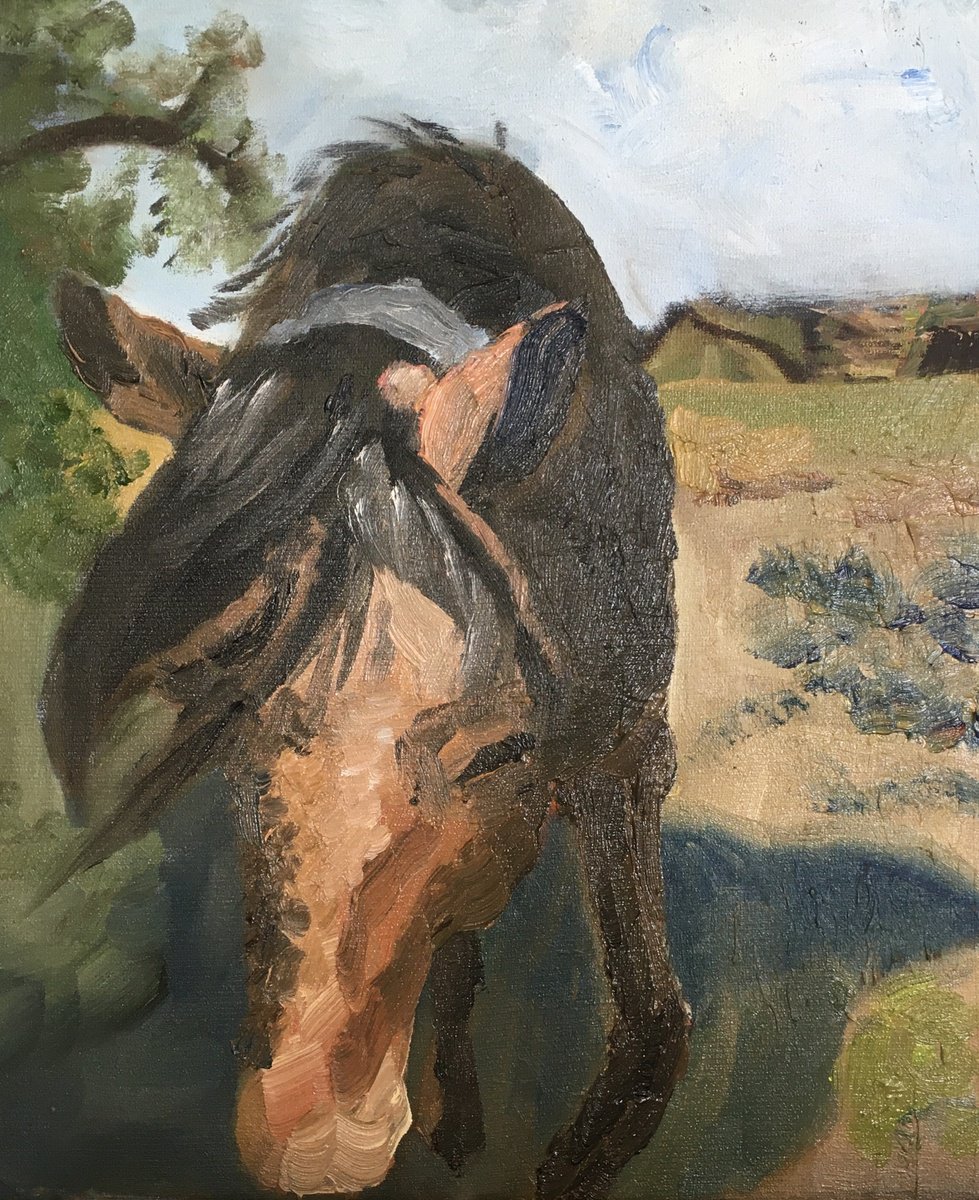Impressionistic Animal Oil Painting By Julian Lovegrove Art, 10 X 12", New Forest Pony, Original Artwork