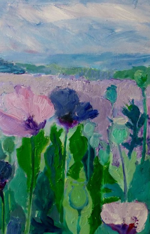 Pink Poppy field by Lynda  Hopkins