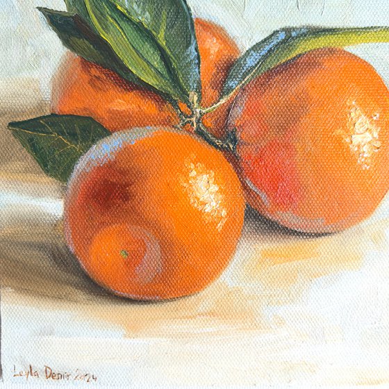 Clementine fruit still life