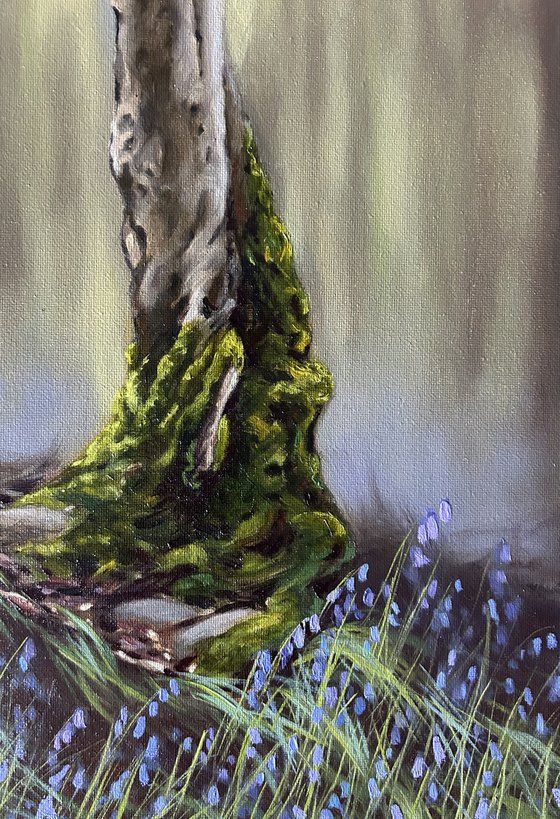 The tree and the bluebells