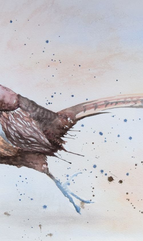 'Phesant on the Run' by Nicola Colbran