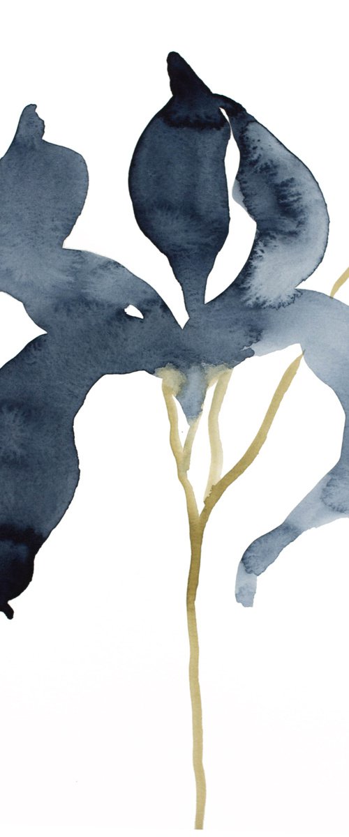 Iris No. 141 by Elizabeth Becker