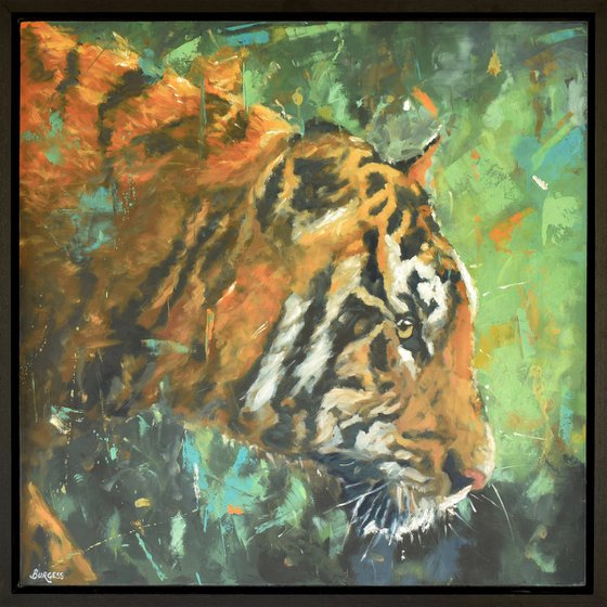 The Hunters Gaze - Framed Oil On Panel Tiger Painting - 82cm x 82cm