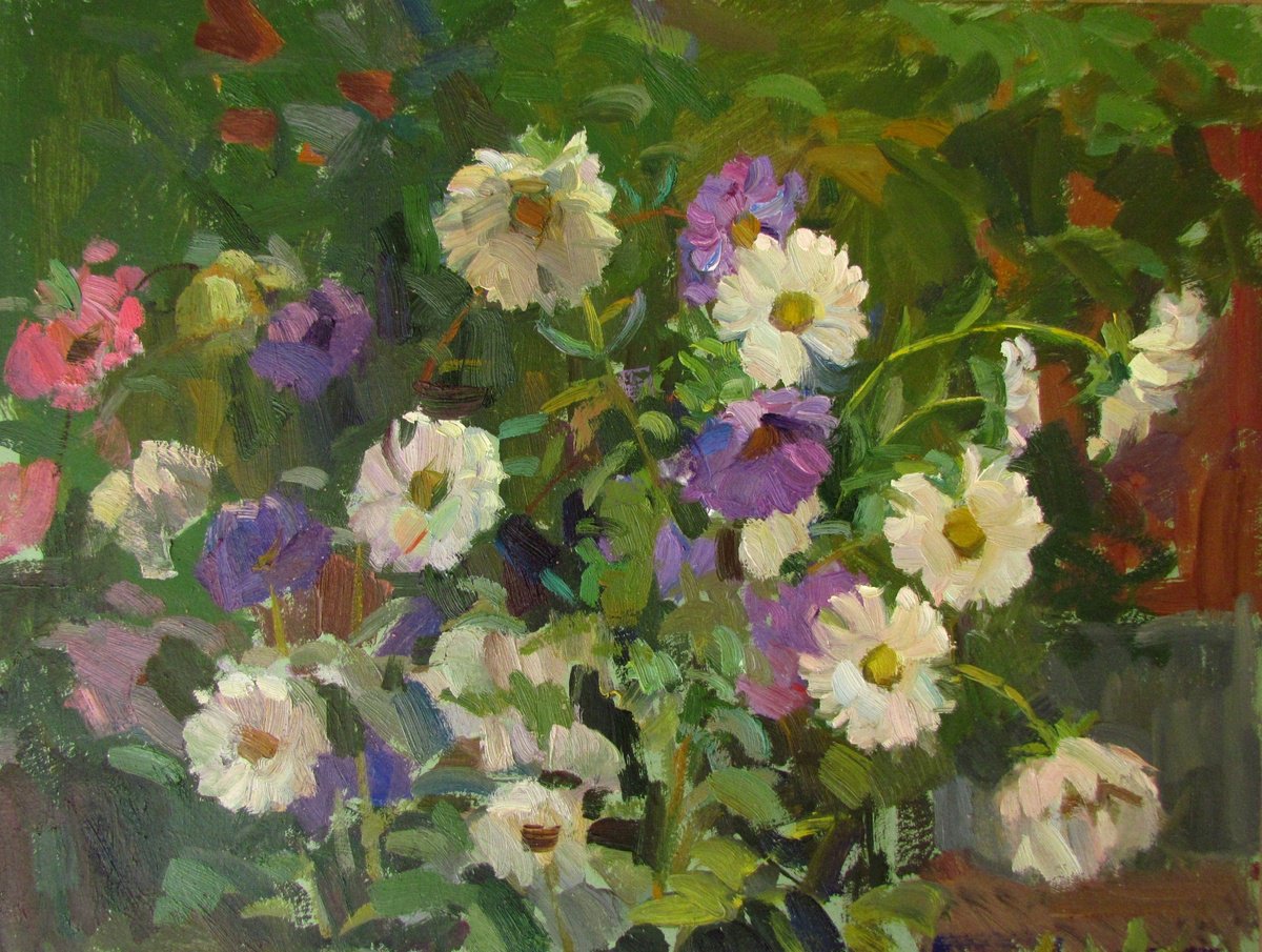 Asters by Viktoriia Pidvarchan