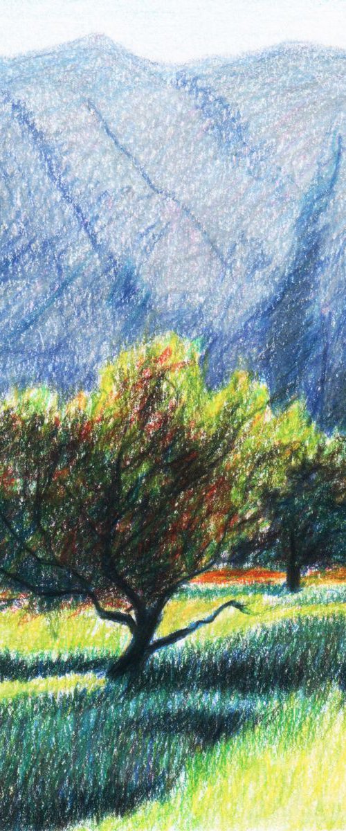 NO.132, Iran by sedigheh zoghi