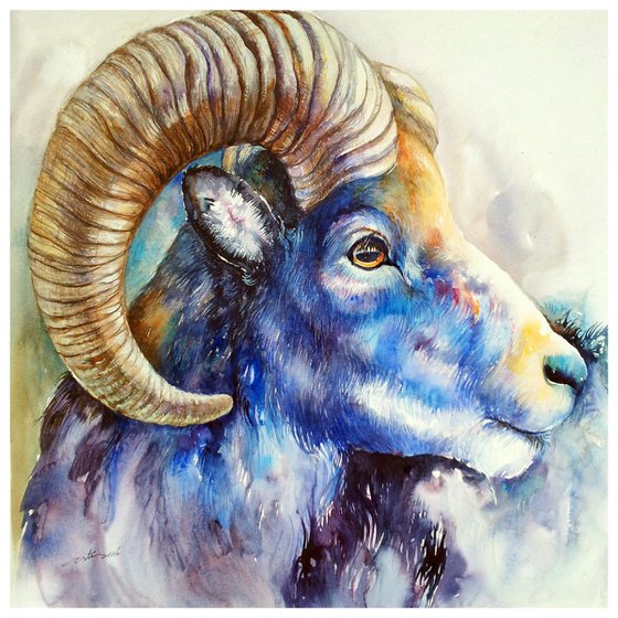 Blue Bighorn