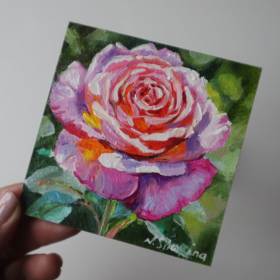 Rose Small Art Framed