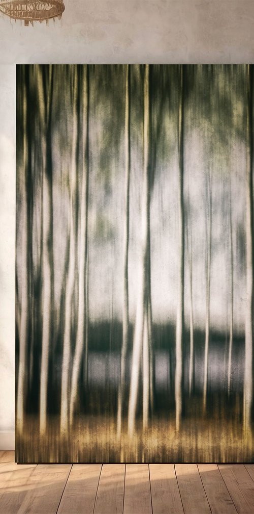 In the birch stillness by Karim Carella