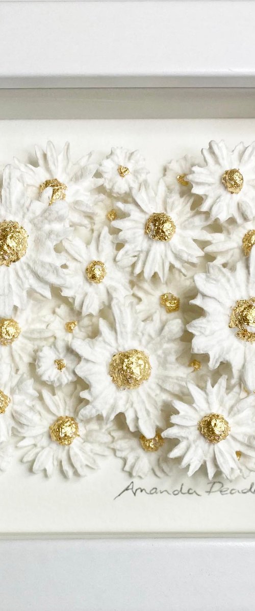 As fresh as a daisy by Amanda Deadman