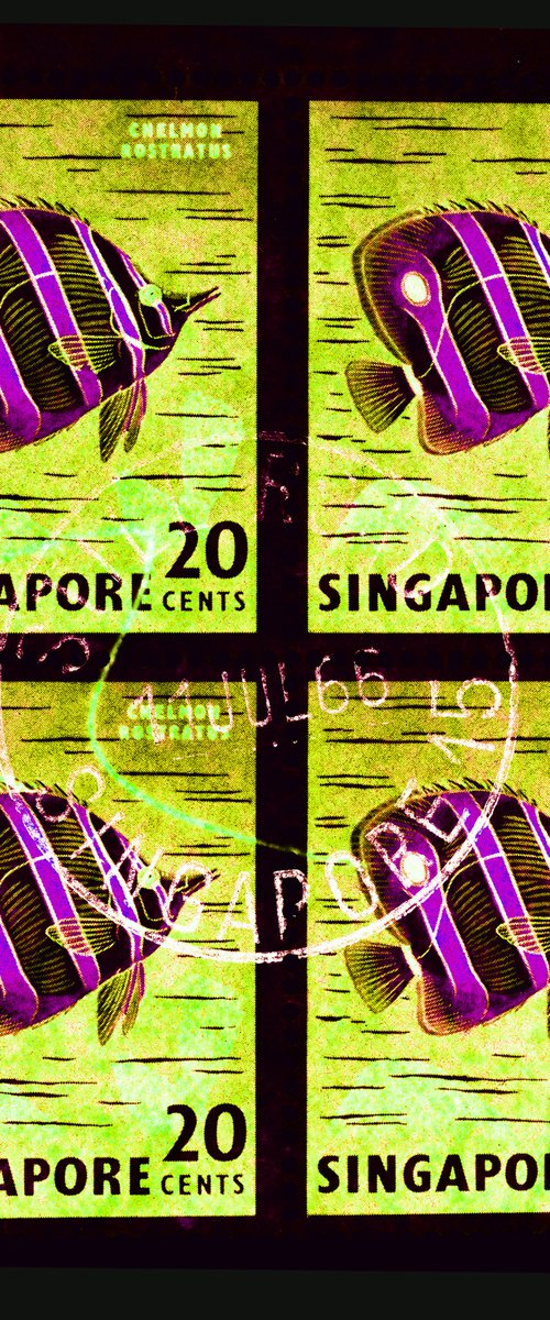 Singapore Stamp Collection '20 Cents Singapore Butterfly Fish' (Neon) by Richard Heeps