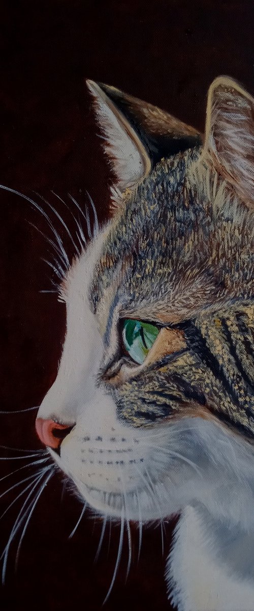 Portrait of a Gray Cat by Ira Whittaker