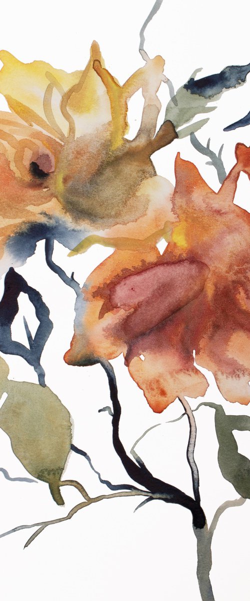 Rose Study No. 69 by Elizabeth Becker