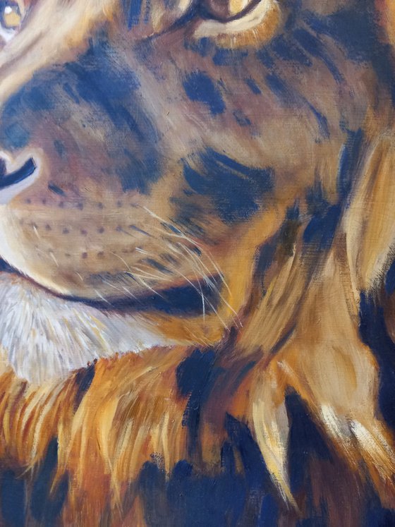 Totem Lion 60x50 cm Animal oil portrait