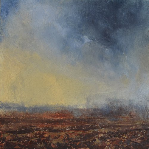 Ploughed field by Colin Slater