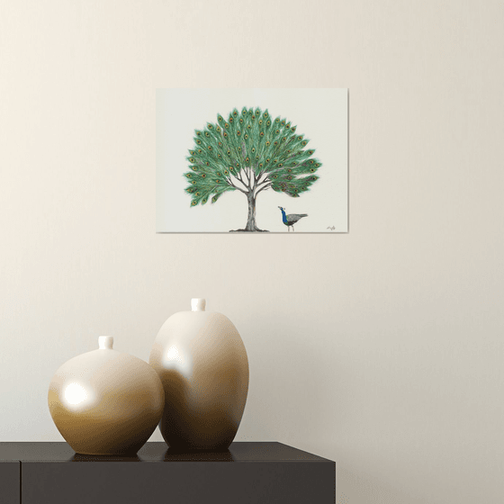Peacock feather tree
