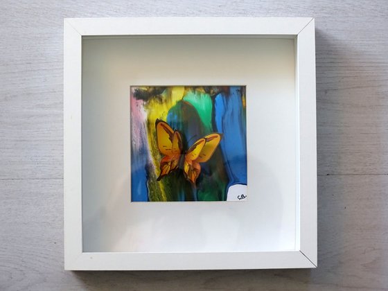 Collage butterfly orgie 5
