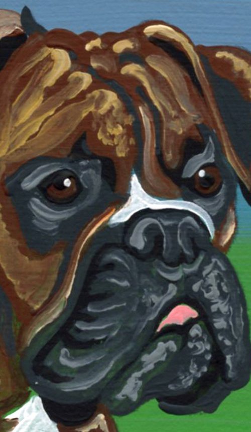 Boxer  Dog by Carla Smale