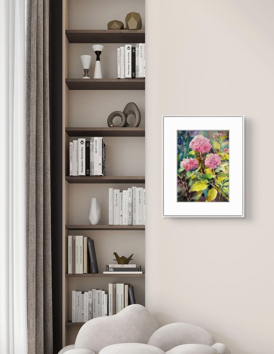 Pink Hydrangeas flowers