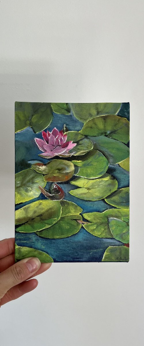 Water lilies 18x13 cm by Myroslava Denysyuk