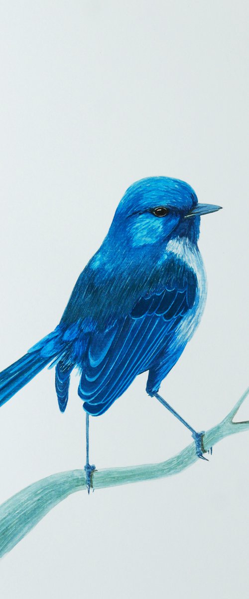 Blue bird on the branch by Karina Danylchuk