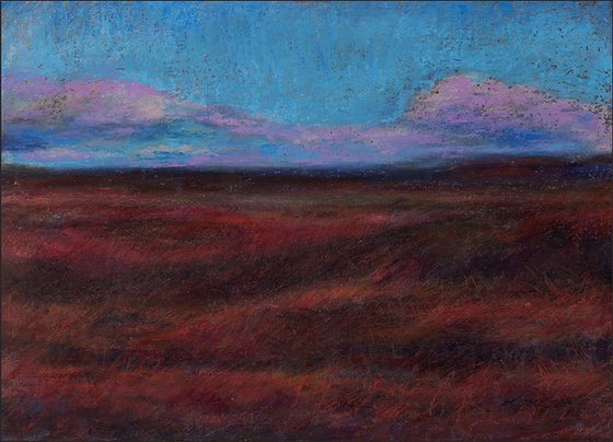 Landscape NR 01 – Open Field
