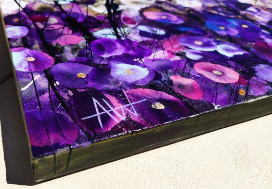 Dreaming in Violet