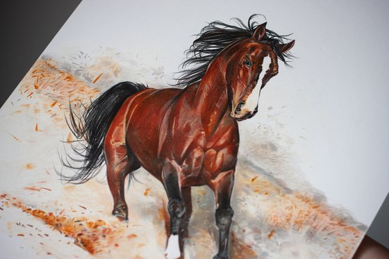 pencil drawing of running horse