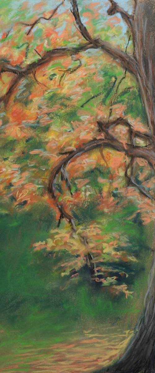 Fall in the woods by John Fleck