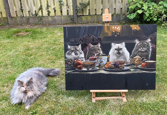 Mischievous Cats