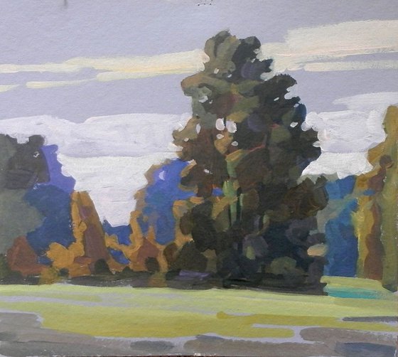 Trees, 40x35 cm