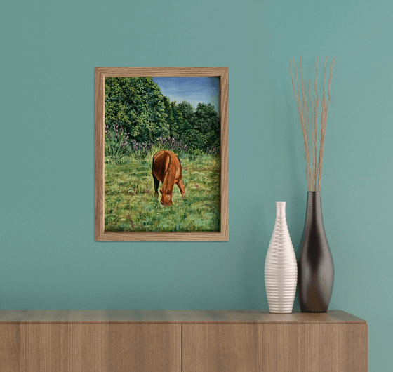 Horse in the field.