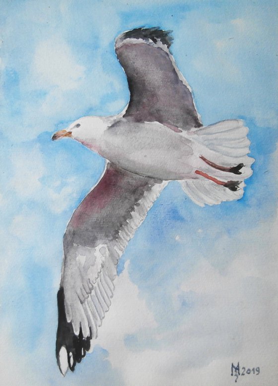 SEAGUL