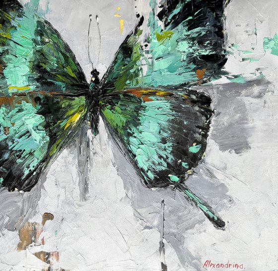 Butterfly #5.