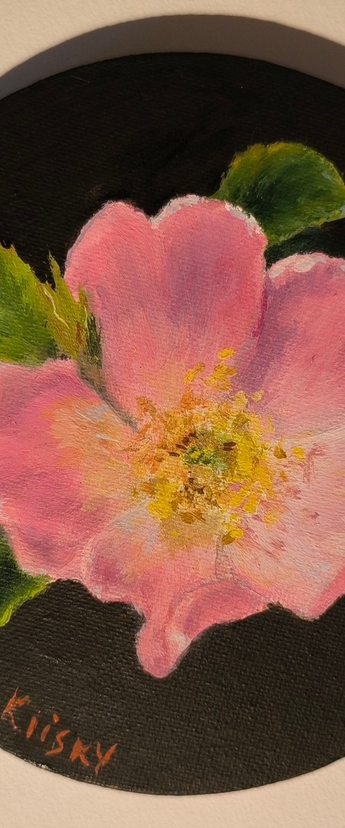 Wild Rose (Rosehip) by Svetlana Grishkovec-Kiisky
