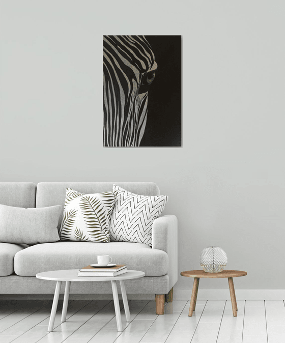 Zebra portrait